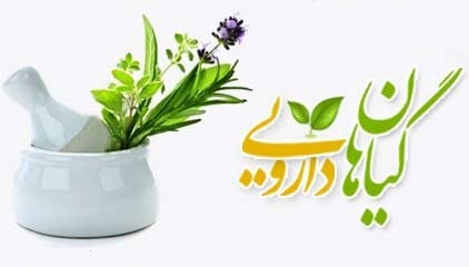 کشت گیاهان دارویی در رویشگاه های طبیعی ملکشاهی توسعه می یابد