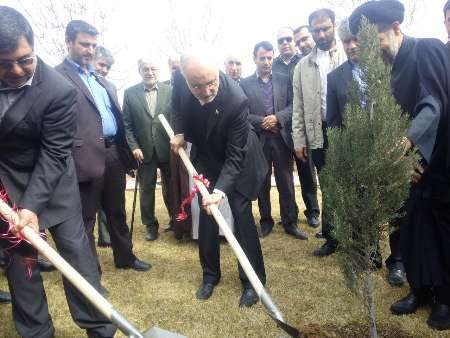 رئیس سازمان انرژی اتمی در پارک علم و فناوری قزوین یک نهال غرس کرد