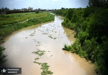 عکس/ تصویر دلخراشی که برای ترامپ دردسرساز شد