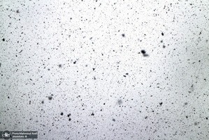 برف امروز تهران- 29 دیماه 1398