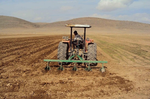 کاشت پاییزه گندم در اردبیل آغاز شد