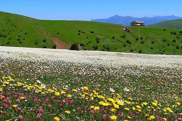 نمین شهر سبز گردشگری اردبیل شود