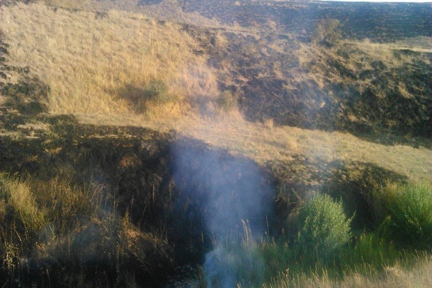 25 هکتار از مراتع تکاب در آتش سوخت