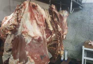 قصاب اراکی به کاشت 300 اصله نهال محکوم شد