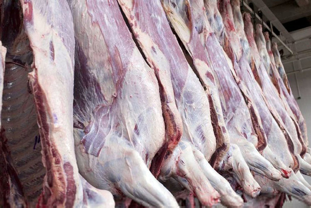 1107 تن گوشت سفید و قرمز در کردستان توزیع شد