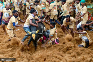 منتخب تصاویر امروز جهان - 28 و 29 دی 1403