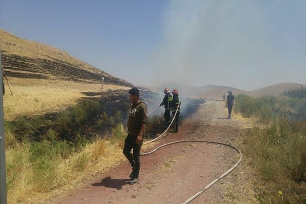 ۳ هکتار از مزارع کشاورزی مهاباد طعمه‌حریق شد