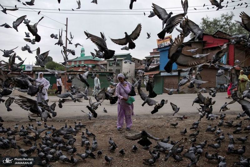 منتخبی از عکس های«دانش صدیقی» عکاس و خبرنگار کشته شده به دست طالبان