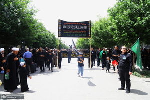 دسته عزای شهادت امام صادق(ع) با حضور آیت الله العظمی وحید خراسانی