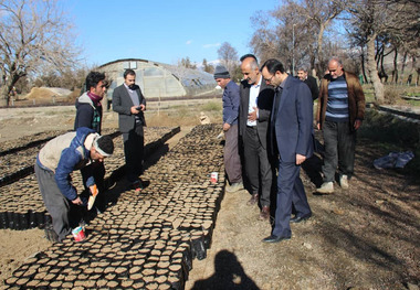 سه طرح منابع طبیعی کردستان به بخش خصوصی واگذار می شود