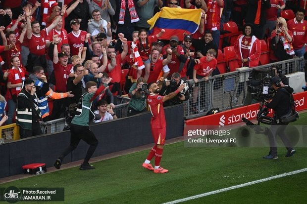 عکس| کبک صلاح خروس خواند!