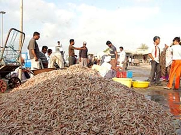 استاندار: شیلات هرمزگان به سیاست گذاری مناسب نیاز دارد