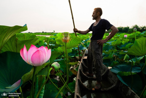 منتخب تصاویر امروز جهان- 8 مرداد 1400