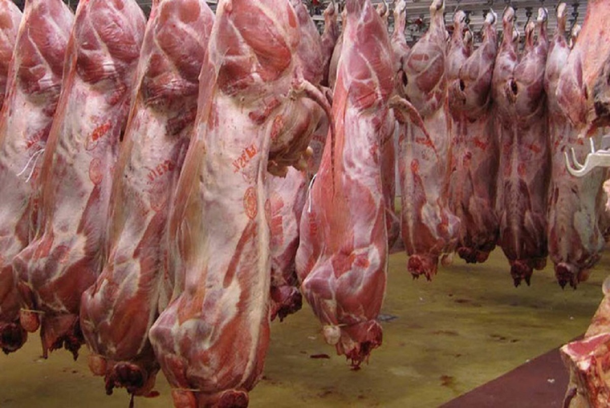 قیمت گوشت دوباره بالا رفت/ یک دلیل عجیب برای گرانی گوشت گوسفندی از زبان رئیس اتحادیه/ گرانی بیشتر در راه است؟