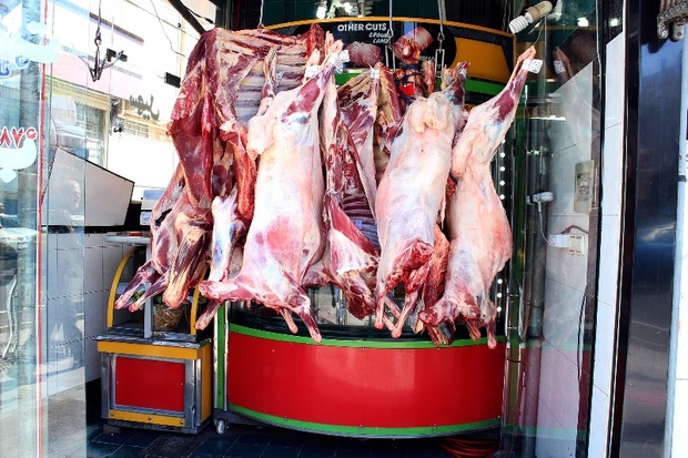 روند توزیع گوشت گرم وارداتی در زنجان ادامه دارد