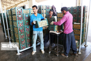 باغداران خیّر مهابادی به زلزله‌زدگان آذربایجان‌شرقی سیب اهدا کردند