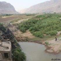 کاشت محصولات آبدوست لرستان را کویر می کند