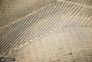 منتخب تصاویر امروز جهان - 10 فروردین 1401