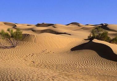 خشکسالی و کم آبی به شدت عرصه های طبیعی را تهدید می کند