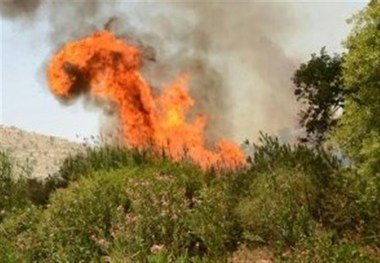 2 مورد آتش سوزی در منابع طبیعی خراسان شمالی رخ داد