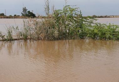 روستای ابوالشلوگ شادگان تخلیه شد