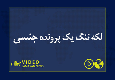 لکه ننگ یک پرونده جنسی