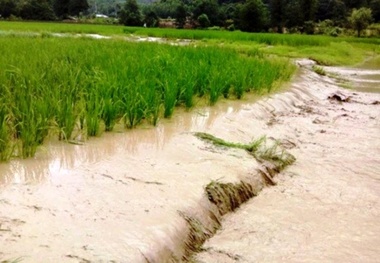 104 هکتار اراضی کشاورزی روستای سیروان زیرآب رفته است