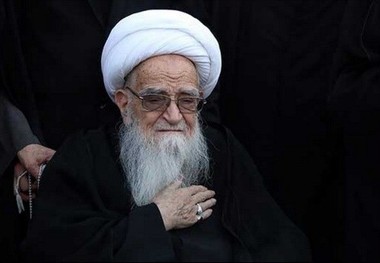 آیت الله العظمی صافی اجازه مصرف سهم امام برای مقابله با ویروس کرونا را صادر کرد