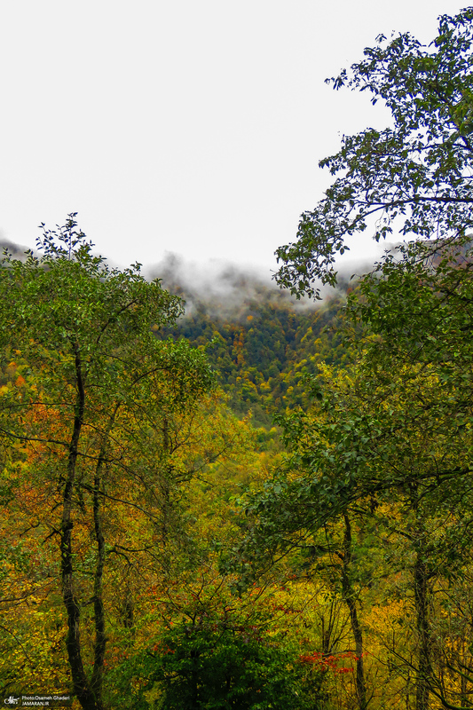 آبشار لونک دیلمان