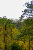 آبشار لونک دیلمان