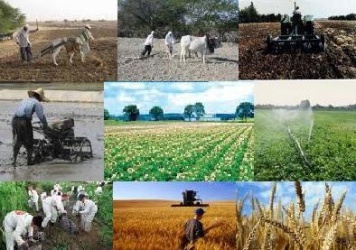 پرداخت 32 میلیارد تومان به خسارت دیدگان کشاورزی استان تهران