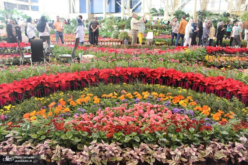 نمایشگاه گل و گیاه (57)
