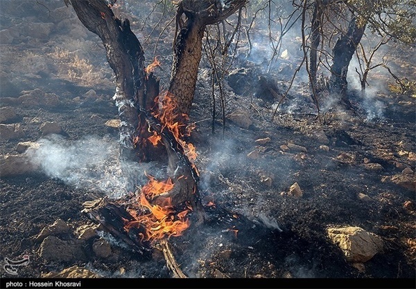 نابودی بیش از 300 هکتار از پوشش گیاهی جزیره میانکاله در آتش‌سوزی
