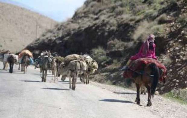 نشست هماهنگی کوچ قشلاقی عشایر  کرمانشاه ، همدان و لرستان در دهلران