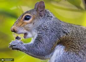 منتخب تصاویر امروز جهان- 30 اردیبهشت 1400