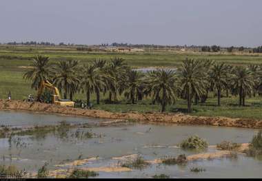 سیل بند کانال آب اصلی نیشکر امام خمینی (ره) منفجر شد