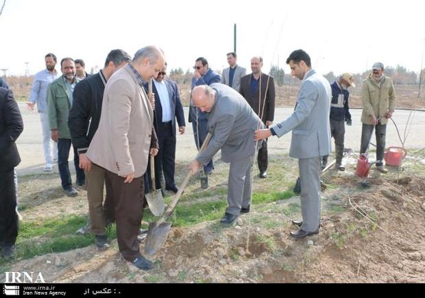 فرماندار ورامین: با کاشت درخت از پیشروی کویر جلوگیری کنیم