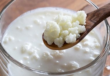 نقش «کفیر» در معکوس‌سازی روند پیری
