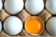 افزایش حمله قلبی با مصرف زیاد تخم مرغ