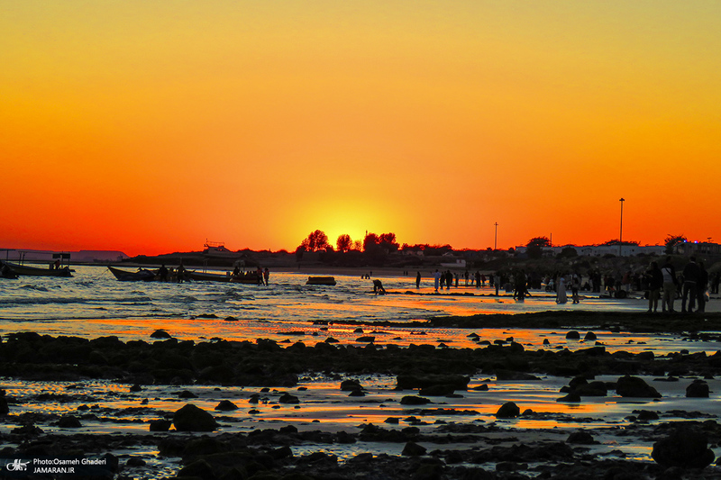 پارک زیتون قشم