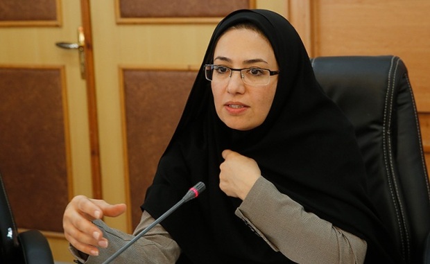 مدیرکل بانوان استانداری بوشهر برضرورت بهره مندی زنان از تسهیلات اشتغالزا تاکید کرد