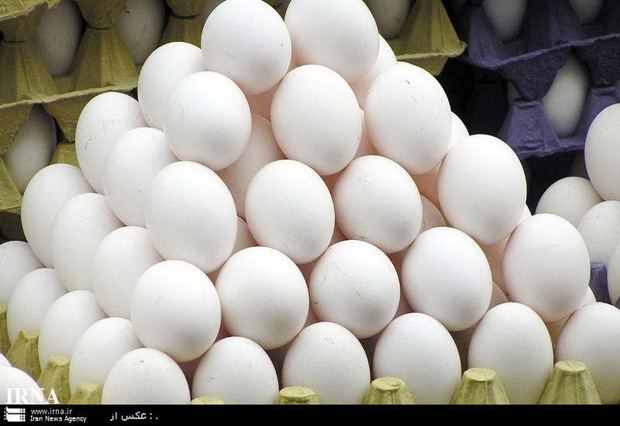روزانه 140 تن تخم مرغ دولتی در تهران عرضه می شود