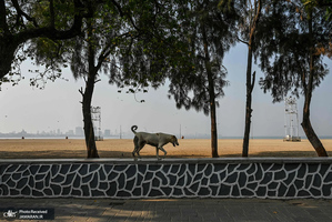 منتخب تصاویر امروز جهان- 27 فروردین 1400