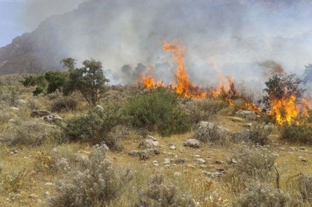 مراتع روستای آتانک در قزوین دچار آتش سوزی شد