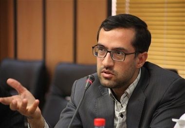 دادستان یزد: دستور بازداشت عاملان قطع شبانه درختان شهر شاهدیه صادر شد