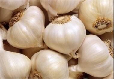 سیر؛ حاوی آلیسین