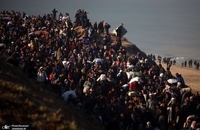 تصاویر جدید از بازگشت فلسطینی به شمال نوار غزه (3)