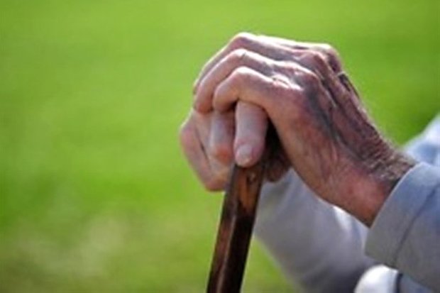 14 درصد سالمندان یزد، زیر پوشش کمیته امداد هستند
