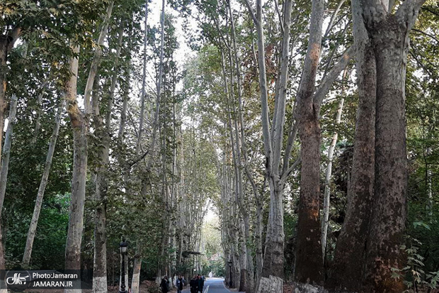 بازگشایی تمام موزه‌ها و محوطه‌های تاریخی 
