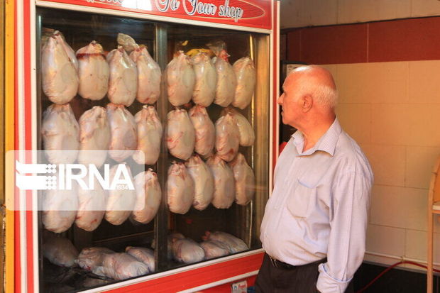 روزانه ۱۰ تن مرغ با قیمت مصوب در گنبدکاووس توزیع می‌شود